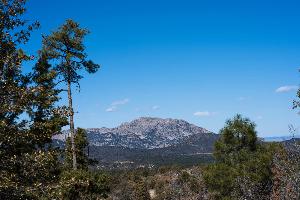 prescott (2).jpg